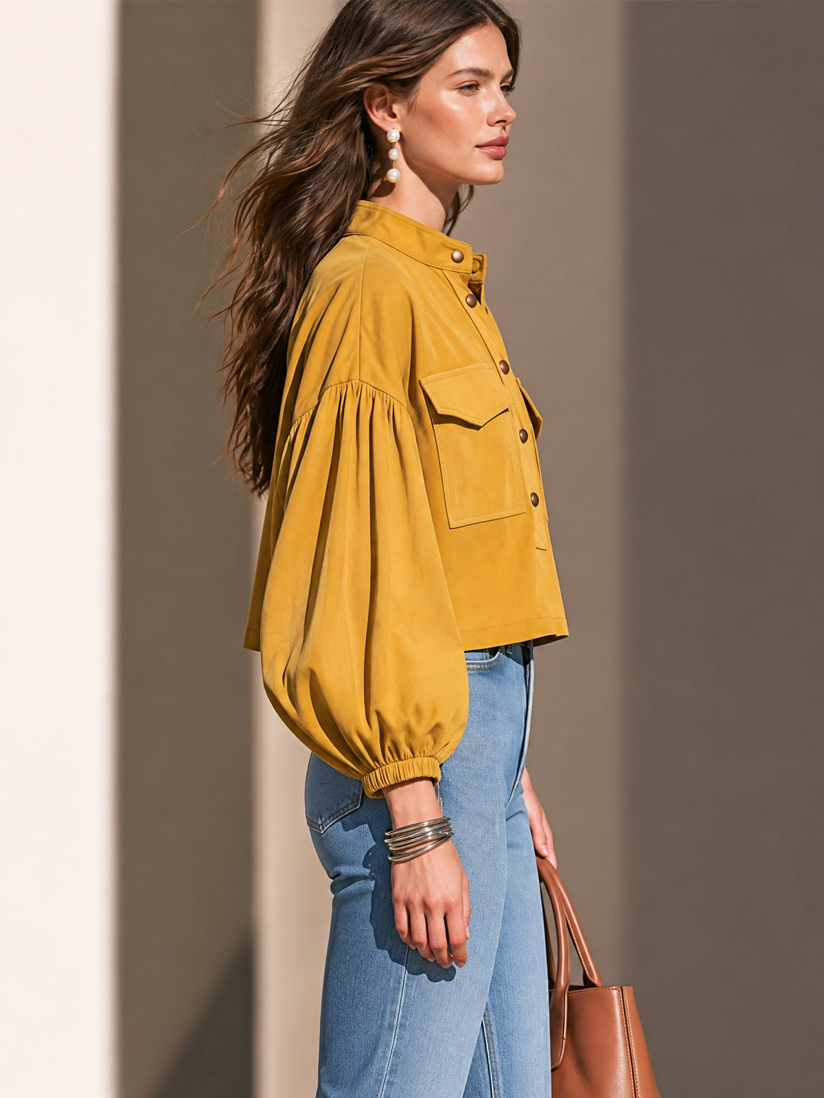 Stand Collar Balloon Sleeves Blouse Pullover