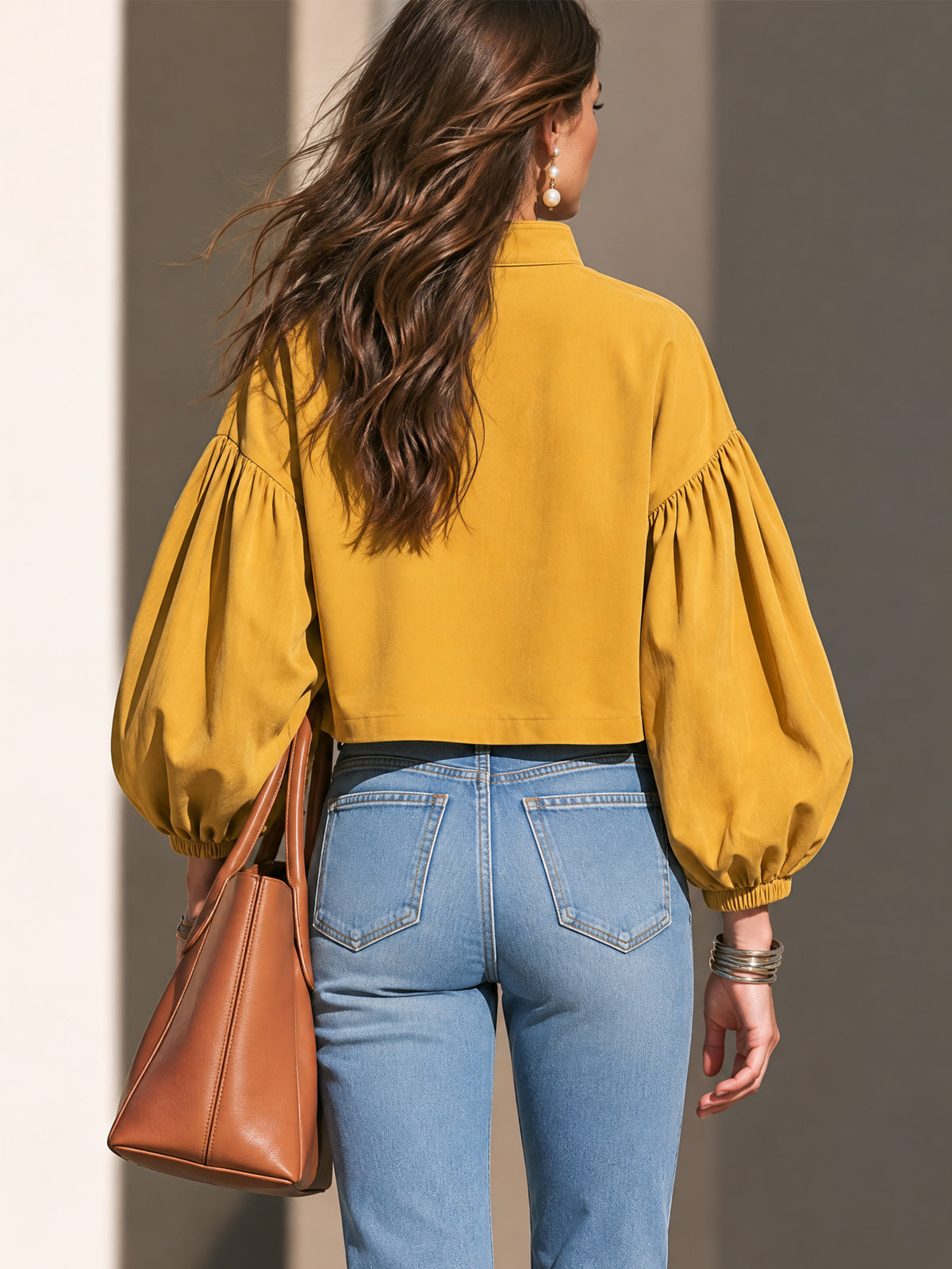 Stand Collar Balloon Sleeves Blouse Pullover